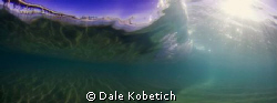 wave by Dale Kobetich 